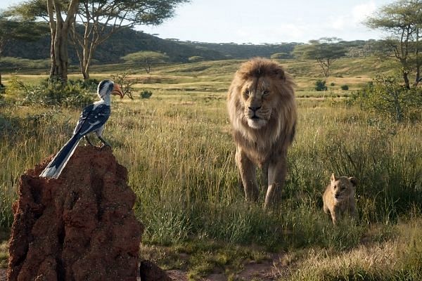 Le roi Lion bientôt en vrai au cinéma ! - La DH/Les Sports+